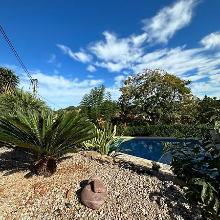 Sunny Renovated - Denia/santa Llucia 公寓 *